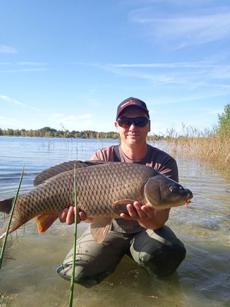 Методный пеллетс, флэт метод микс Bloodworm (Мотыль) Carp Drive 5 в 1 FMM-BR фото