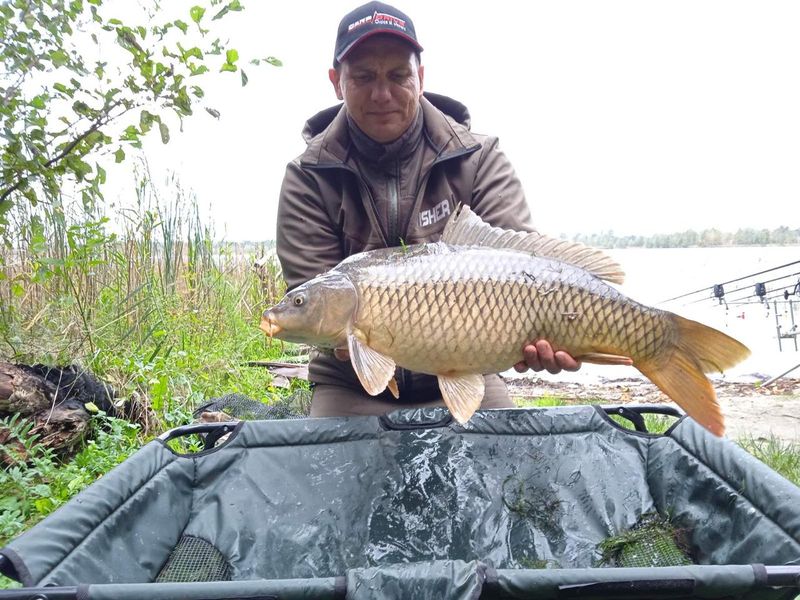 Методний пелетс, метод мікс Halibut Krill (Халибут Кріль) Carp Drive 5 в 1 FMM-МHК фото